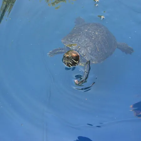 Σπίτι διακοπών Osrodek Wypoczynkowy Mewa *